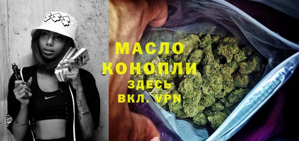 твердый Ельня