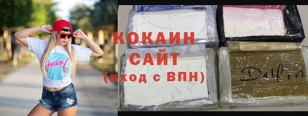 твердый Ельня