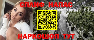 тгк Будённовск