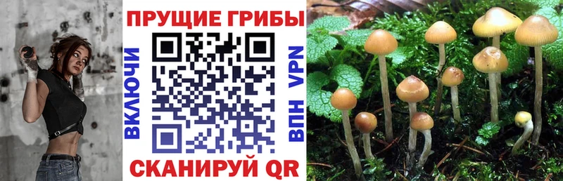 Псилоцибиновые грибы мухоморы  Кимры 