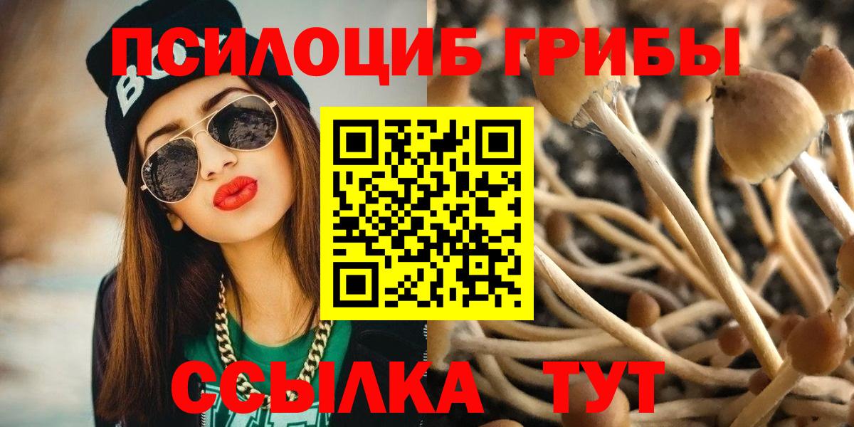 Псилоцибиновые грибы Psilocybine cubensis Кимры